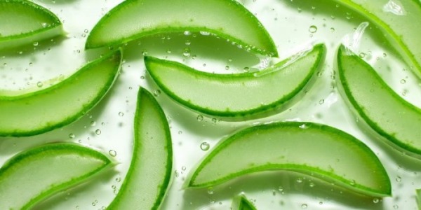 Benefits of aloe vera for children